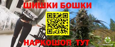 мдпв Татарск
