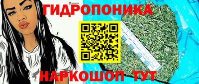 мдпв Татарск