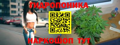 винт Тверь