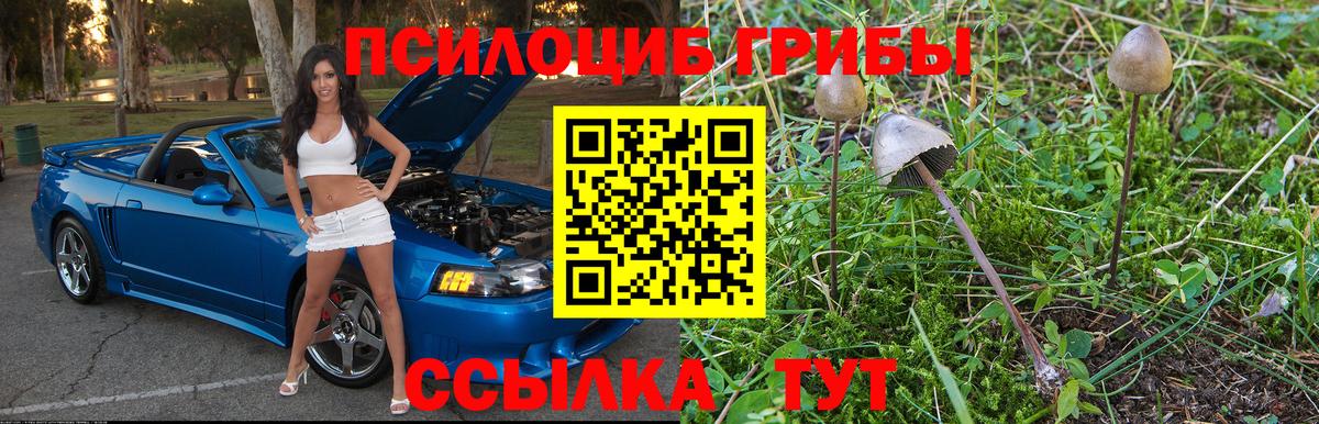 Нижнеудинск  Псилоцибиновые грибы мицелий  Вход с VPN 