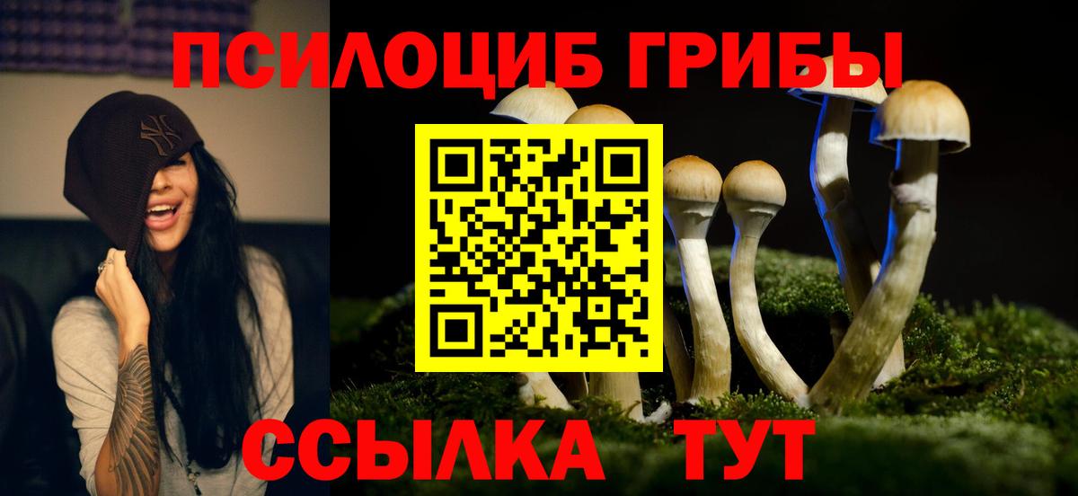 Псилоцибиновые грибы прущие грибы Нижнеудинск